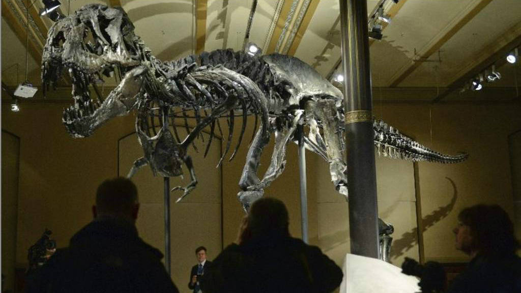 Un esqueleto del tiranosaurius rex se exhibe en Berlín 